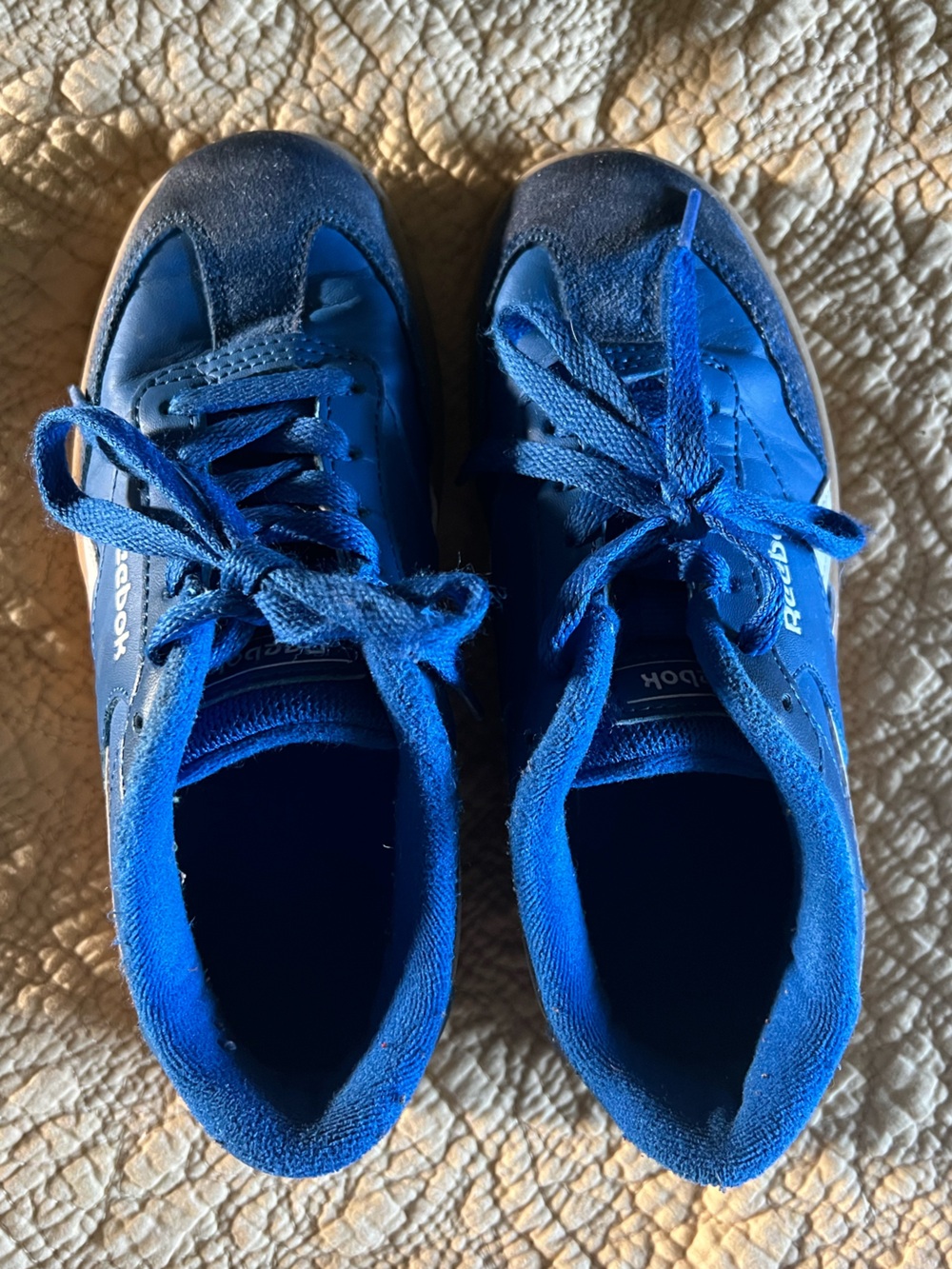 Reebok Electric Blue Lace-Up Sneakers